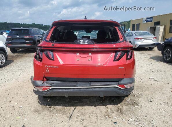 5NMJBCAE7PH221048 2023 HYUNDAI TUCSON Красный 