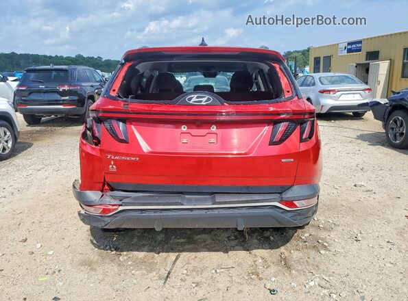 5NMJBCAE7PH221048 2023 HYUNDAI TUCSON Красный Вид сзади
