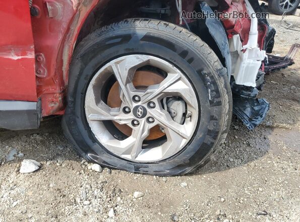 5NMJBCAE7PH221048 2023 HYUNDAI TUCSON Красный 