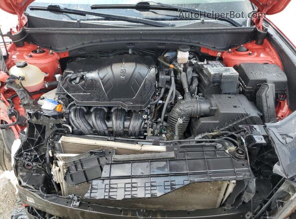 5NMJBCAE7PH221048 2023 HYUNDAI TUCSON Красный 