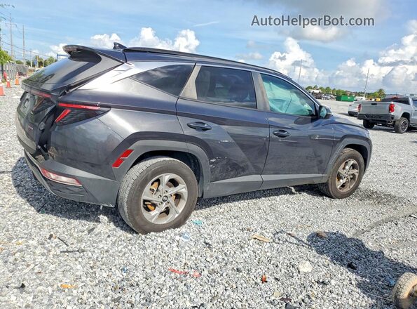 5NMJBCAE8PH242359 2023 HYUNDAI TUCSON Gray Задня права чверть