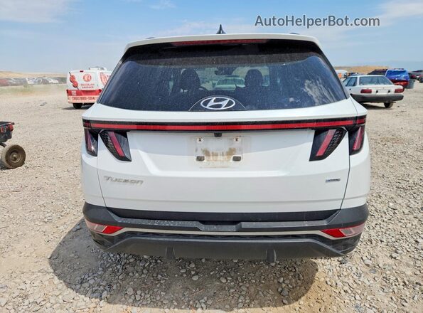 5NMJBCAE9NH019485 2022 HYUNDAI TUCSON White Вид ззаду