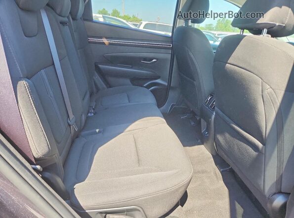 5NMJBCAE9PH204834 2023 HYUNDAI TUCSON Угольный Вид задней части салона