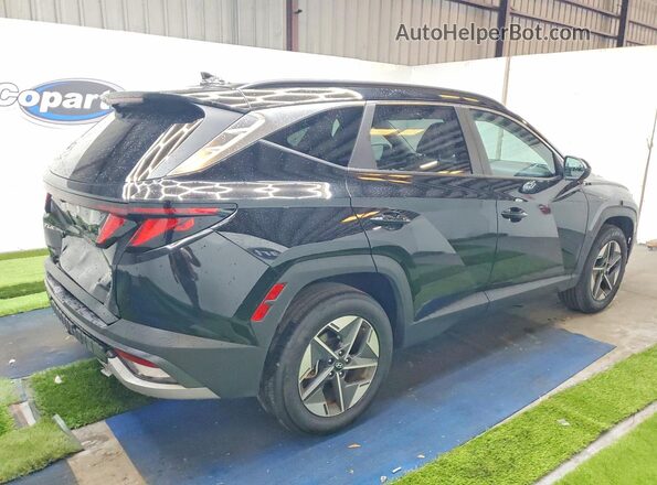 5NMJBCDE0SH480047 2025 HYUNDAI TUCSON Black Задня права чверть