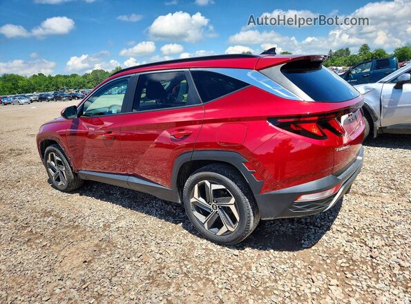 5NMJBCDE2RH426954 2024 HYUNDAI TUCSON Red Tył lewy