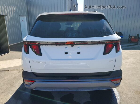 5NMJBCDE3TH736974 2026 HYUNDAI TUCSON White Widok z tyłu