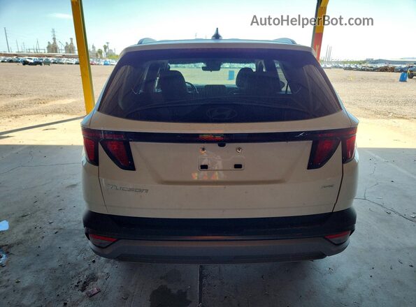 5NMJBCDE6TH666905 2026 HYUNDAI TUCSON White უკანა ხედი