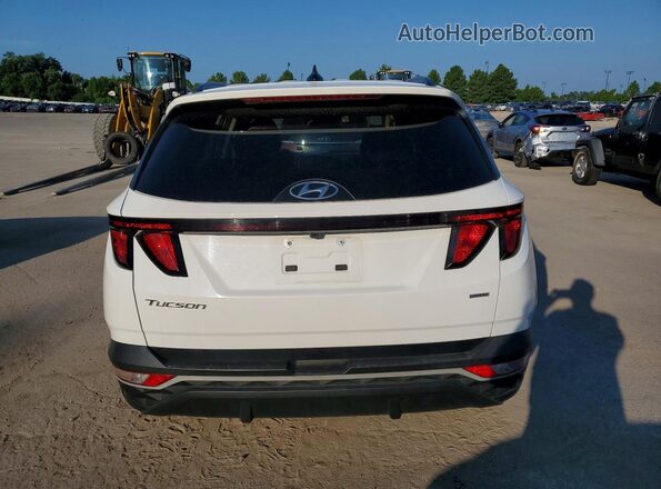 5NMJBCDE7RH306809 2024 HYUNDAI TUCSON White Widok z tyłu