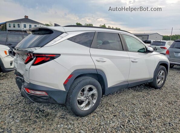 5NMJBCDE7RH416422 2024 HYUNDAI TUCSON Белый Задняя правая четверть
