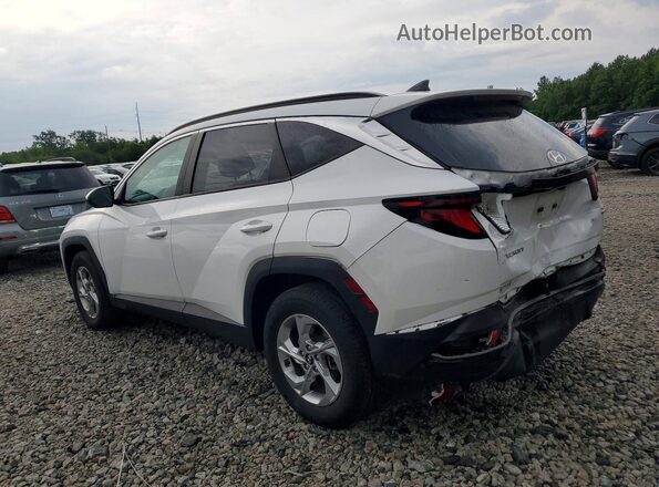 5NMJBCDE7RH416422 2024 HYUNDAI TUCSON Белый Задняя левая четверть