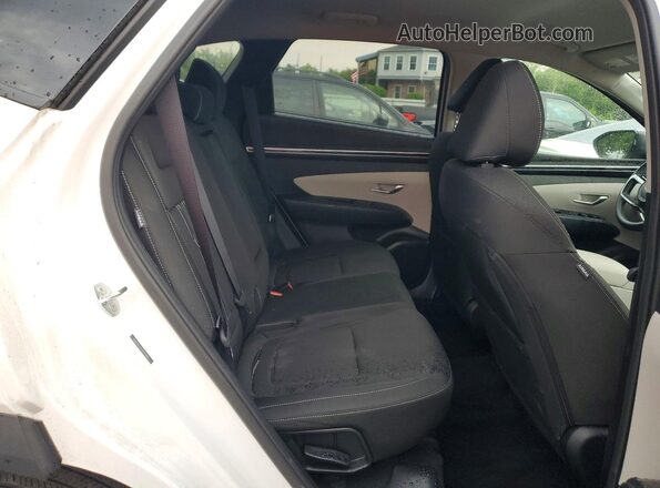 5NMJBCDE7RH416422 2024 HYUNDAI TUCSON Белый Вид задней части салона