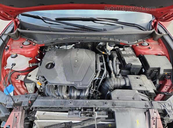 5NMJBCDE8SH564780 2025 HYUNDAI TUCSON Burgundy 