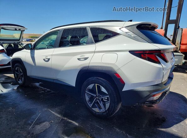5NMJBCDE9TH626401 2026 HYUNDAI TUCSON Белый Задняя левая четверть