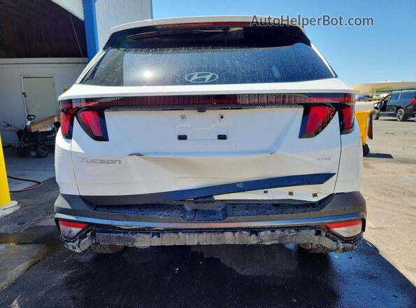 5NMJBCDE9TH626401 2026 HYUNDAI TUCSON Белый Вид сзади