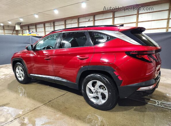 5NMJBCDEXRH407729 2024 HYUNDAI TUCSON Red Rear left