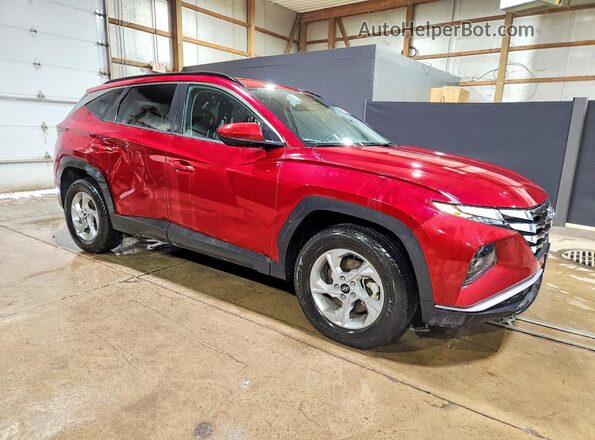 5NMJBCDEXRH407729 2024 HYUNDAI TUCSON Red Front right