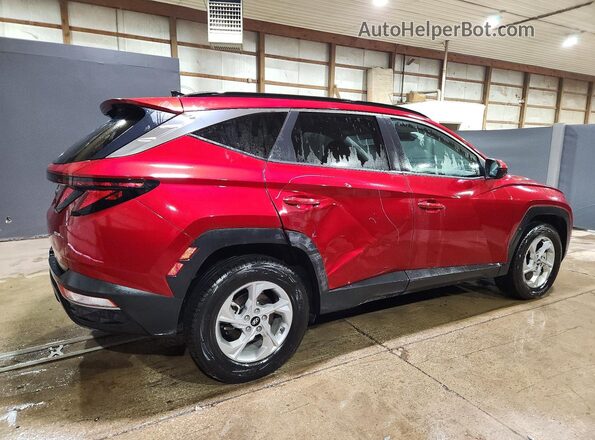 5NMJBCDEXRH407729 2024 HYUNDAI TUCSON Red Rear right