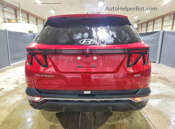 5NMJBCDEXRH407729 2024 HYUNDAI TUCSON Red Rear view