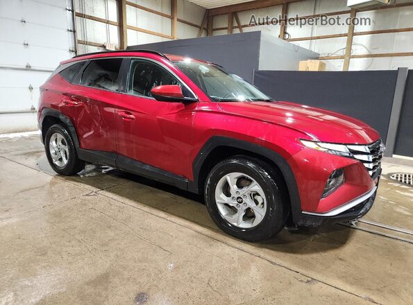5NMJBCDEXRH407729 2024 HYUNDAI TUCSON Red 