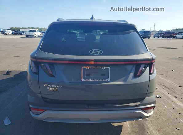 5NMJC3DE2SH485828 2025 HYUNDAI TUCSON Серый Вид сзади