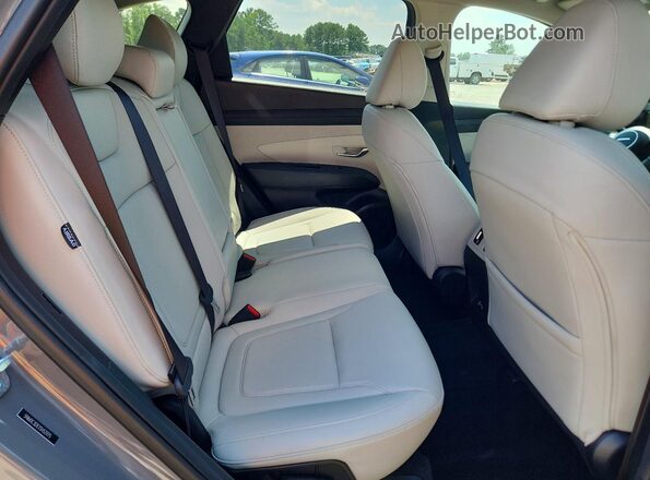 5NMJC3DE2SH521775 2025 HYUNDAI TUCSON Серый Вид задней части салона