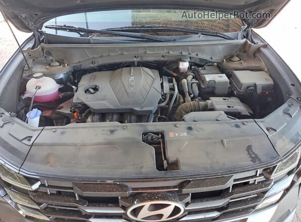 5NMJC3DE4SH497088 2025 HYUNDAI TUCSON Black 