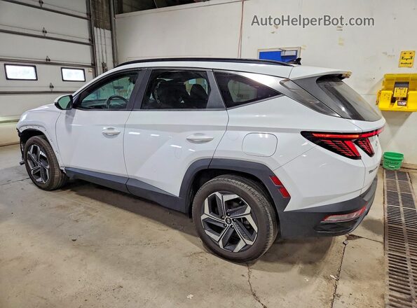 5NMJCCAE0NH013572 2022 HYUNDAI TUCSON White უკანა მარცხენა