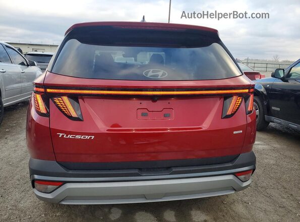 5NMJCCDE2SH564187 2025 HYUNDAI TUCSON Red უკანა ხედი