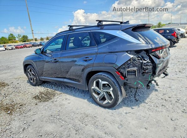 5NMJE3AE0PH208049 2023 HYUNDAI TUCSON Угольный Задняя левая четверть