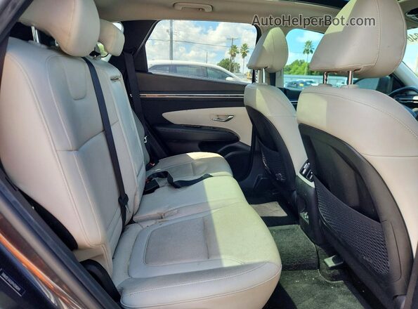 5NMJE3AE0PH208049 2023 HYUNDAI TUCSON Угольный Вид задней части салона