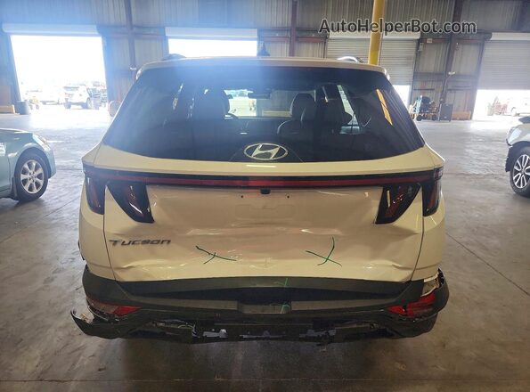 5NMJE3AE3PH236895 2023 HYUNDAI TUCSON White Rear view