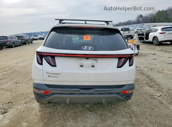 5NMJE3AE5PH189529 2023 HYUNDAI TUCSON White Вид ззаду