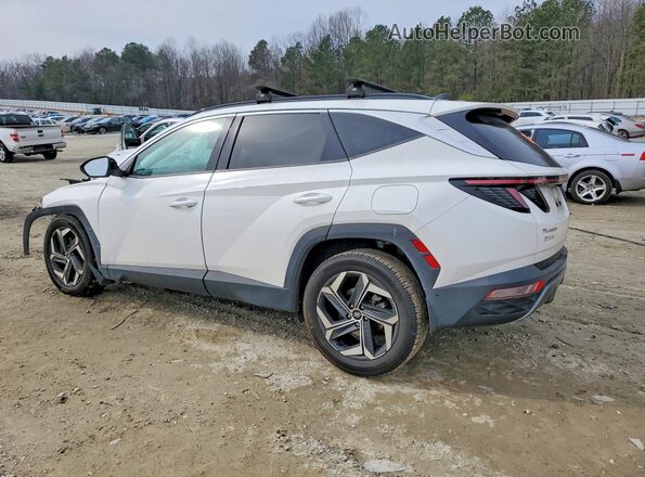 5NMJE3AE5PH189529 2023 HYUNDAI TUCSON White Задня ліва чверть