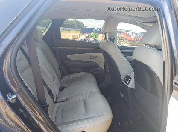 5NMJE3DE7RH353099 2024 HYUNDAI TUCSON Charcoal უკანა სავარძლების ხედი