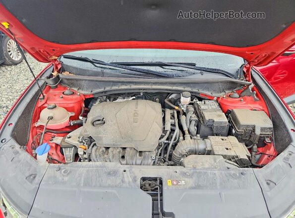 5NMJECAE1NH008732 2022 HYUNDAI TUCSON Красный Вид задней части салона
