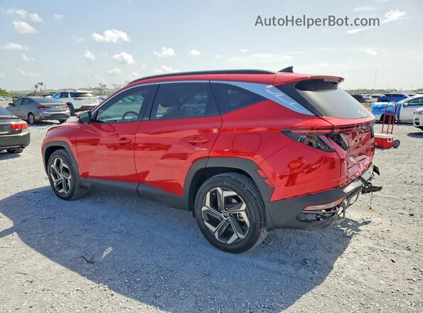 5NMJECAE1PH247961 2023 HYUNDAI TUCSON Red Հետևի ձախ