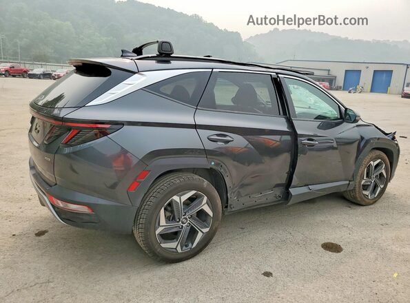 5NMJECAE6NH154379 2022 HYUNDAI TUCSON Gray Tył prawy