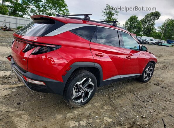 5NMJECAE8PH184292 2023 HYUNDAI TUCSON Red Задня права чверть