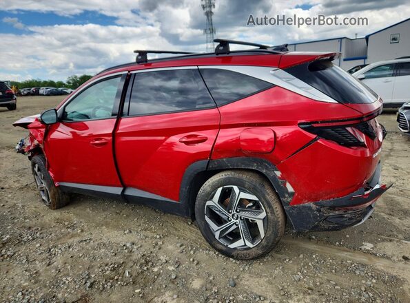 5NMJECAE8PH184292 2023 HYUNDAI TUCSON Red Задня ліва чверть