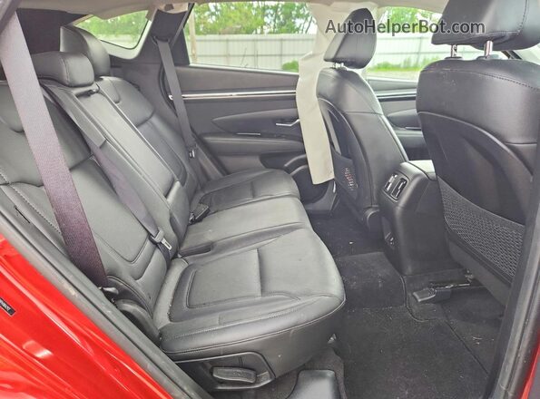 5NMJECAE8PH184292 2023 HYUNDAI TUCSON Red Вид задньої частини салону