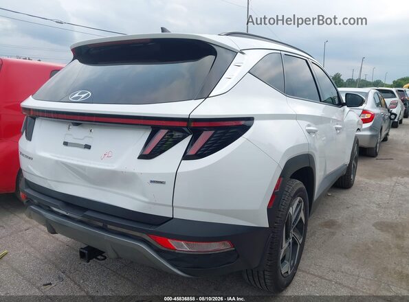5NMJECAE8PH235919 2023 HYUNDAI TUCSON White Trasero derecho