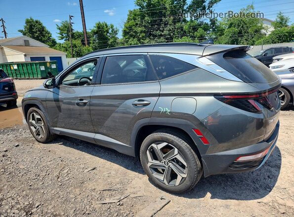 5NMJECAEXPH274348 2023 HYUNDAI TUCSON Gray Задня ліва чверть