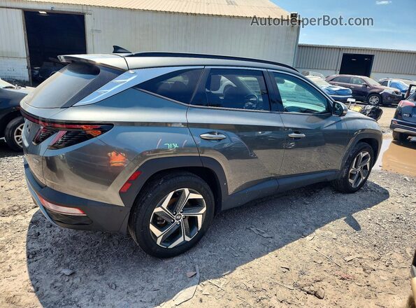 5NMJECAEXPH274348 2023 HYUNDAI TUCSON Gray Задня права чверть