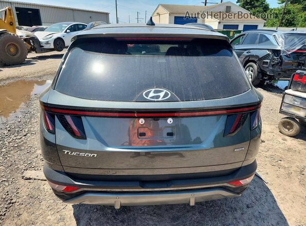 5NMJECAEXPH274348 2023 HYUNDAI TUCSON Gray Вид ззаду