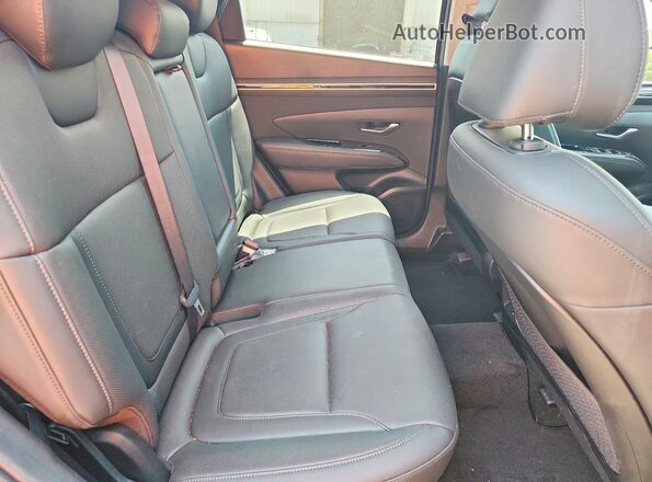 5NMJECAEXPH274348 2023 HYUNDAI TUCSON Gray Вид задньої частини салону