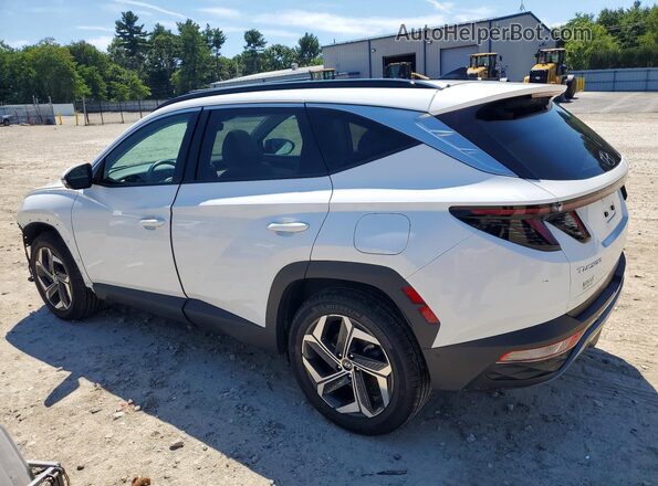 5NMJECDE3RH440109 2024 HYUNDAI TUCSON White Tył lewy