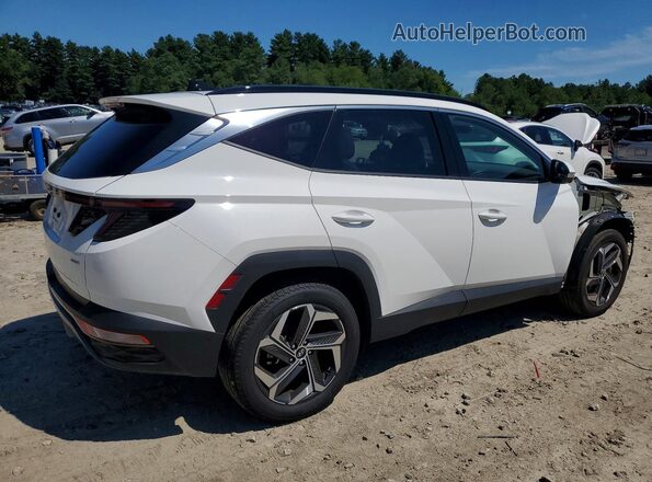 5NMJECDE3RH440109 2024 HYUNDAI TUCSON White Tył prawy