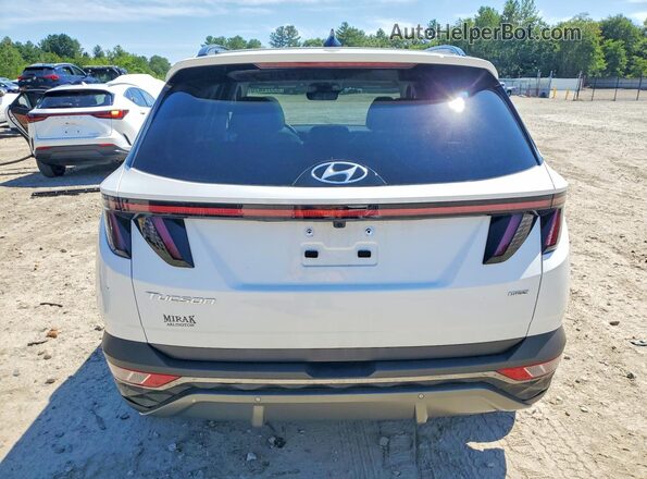 5NMJECDE3RH440109 2024 HYUNDAI TUCSON White Widok z tyłu