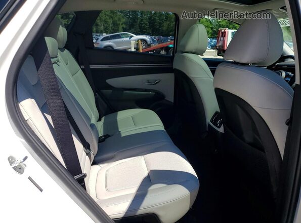 5NMJECDE3RH440109 2024 HYUNDAI TUCSON White Widok wnętrza z tyłu