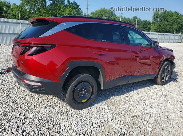5NMJECDE4RH432441 2024 HYUNDAI TUCSON Red Tył prawy